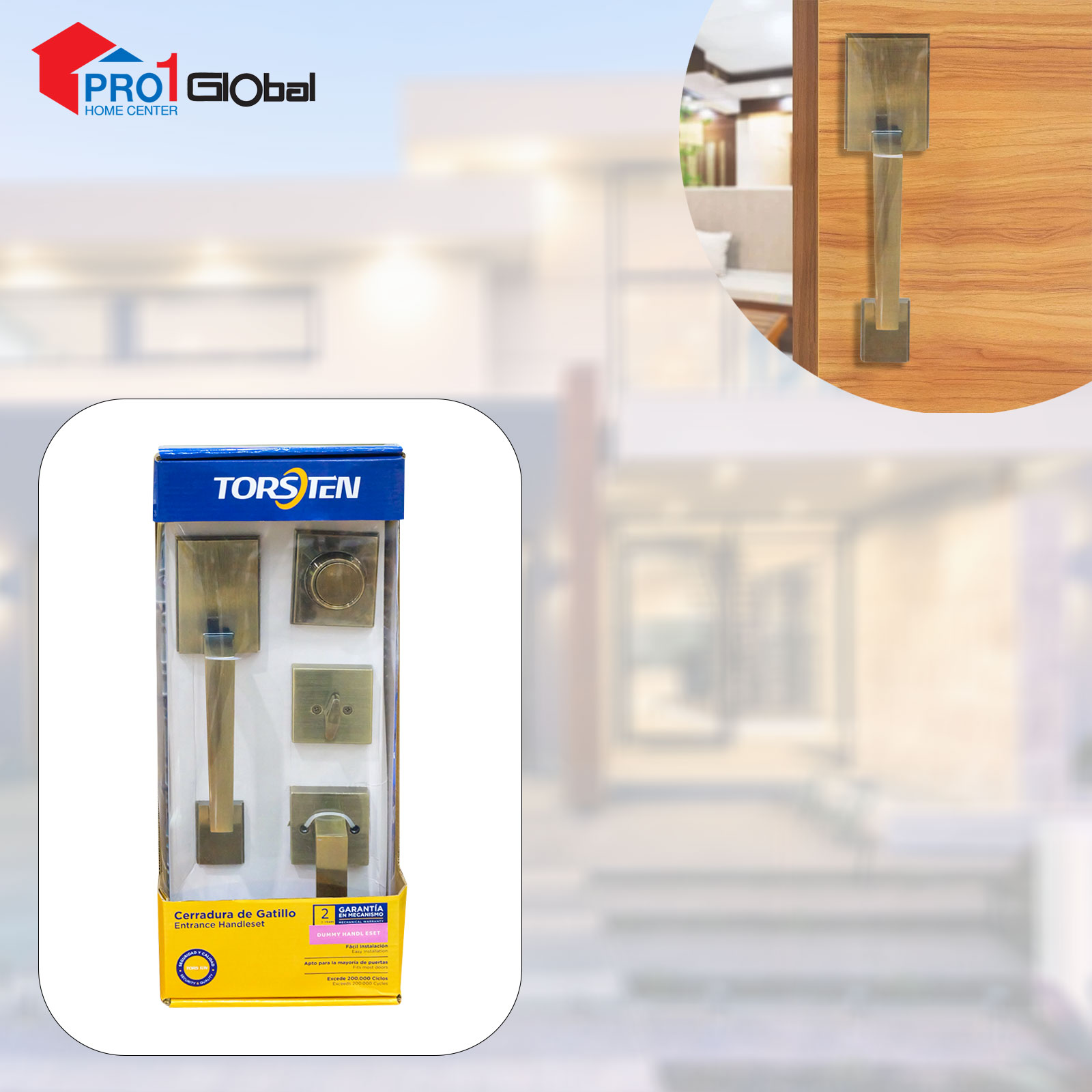 TORSTEN Dummy Handle Set 2001/H1D1/Heavy AB