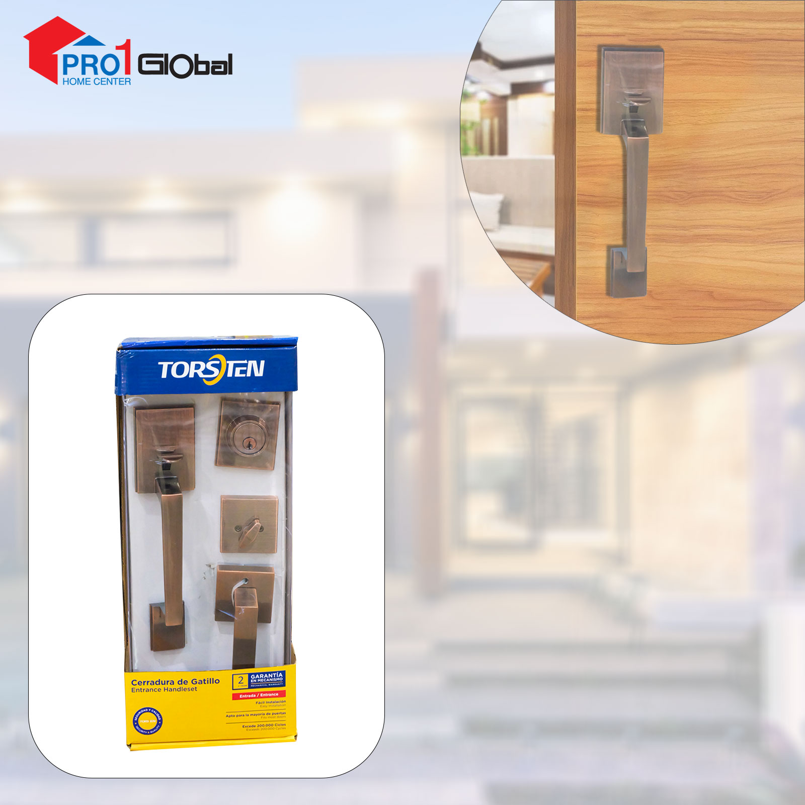 TORSTEN Entrance Handle Set 2001/H1D1/Heavy AC