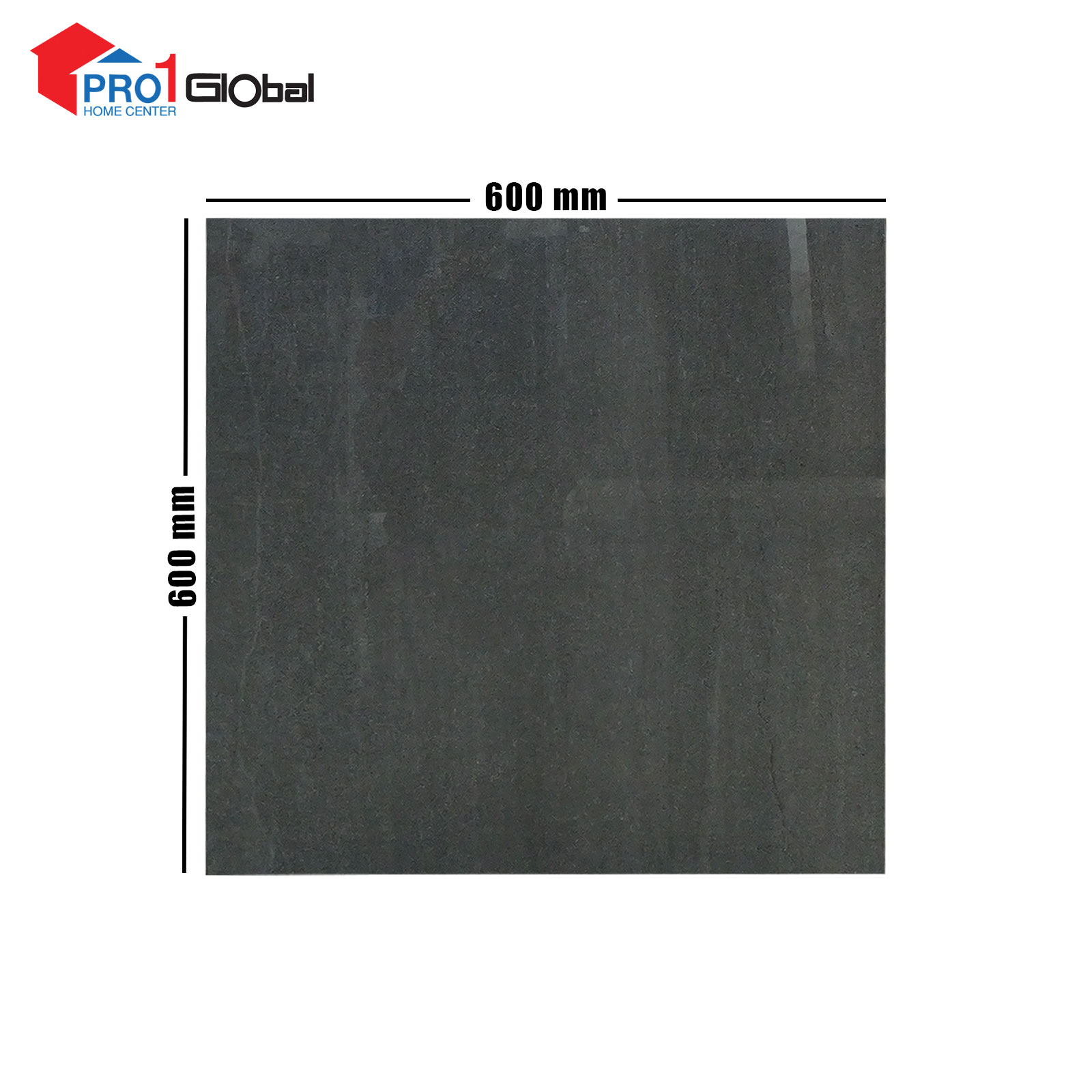 Lotus Ceramic LT-PR6630G (600x600)mm (POL)