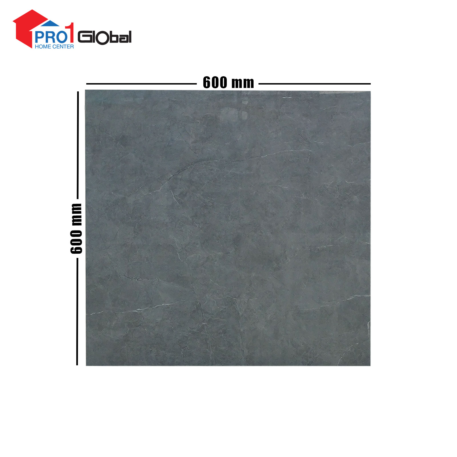 Lotus Ceramic LT-PR6632G (600x600)mm (POL)