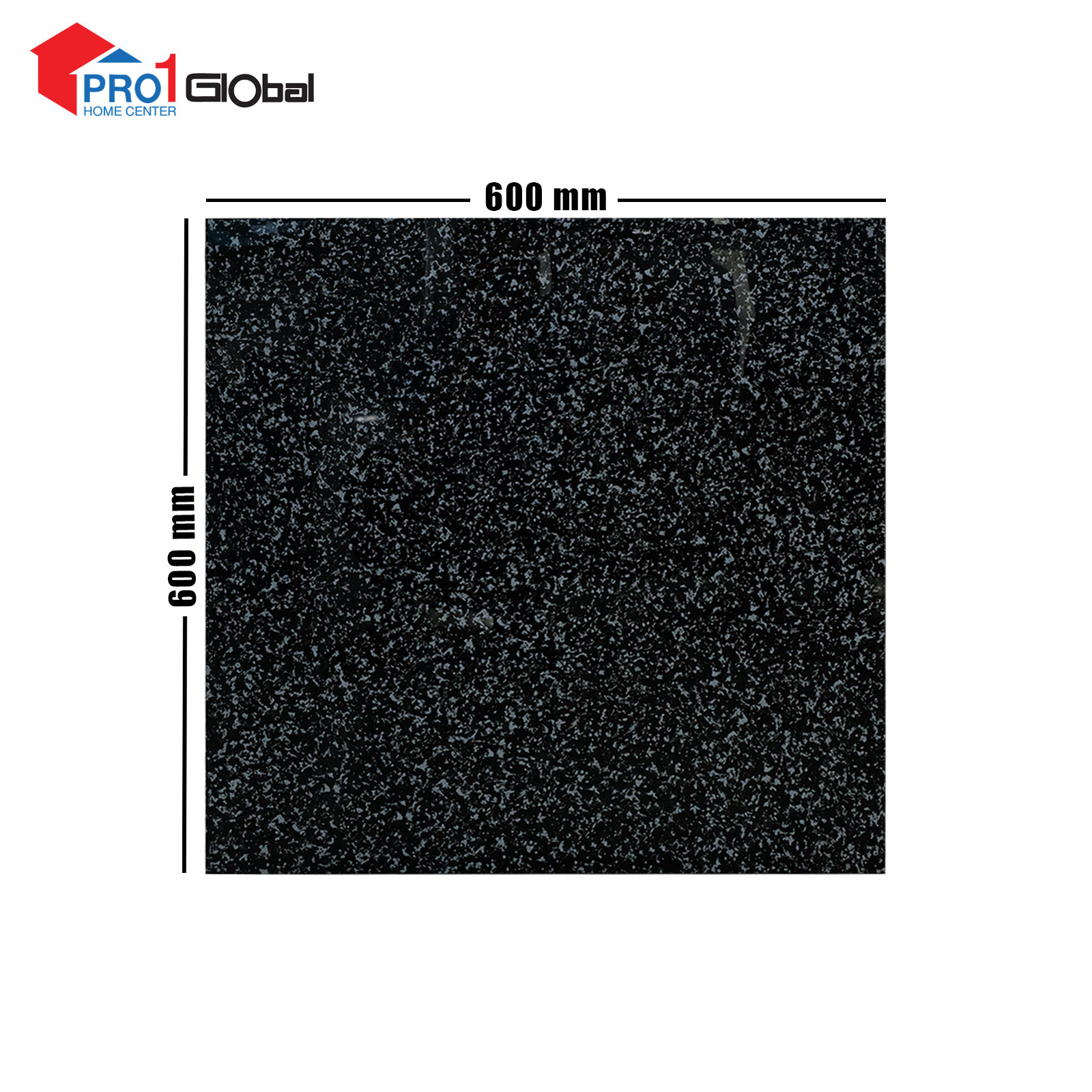 Lotus Ceramic LT-PR6635G (600x600)mm (POL)