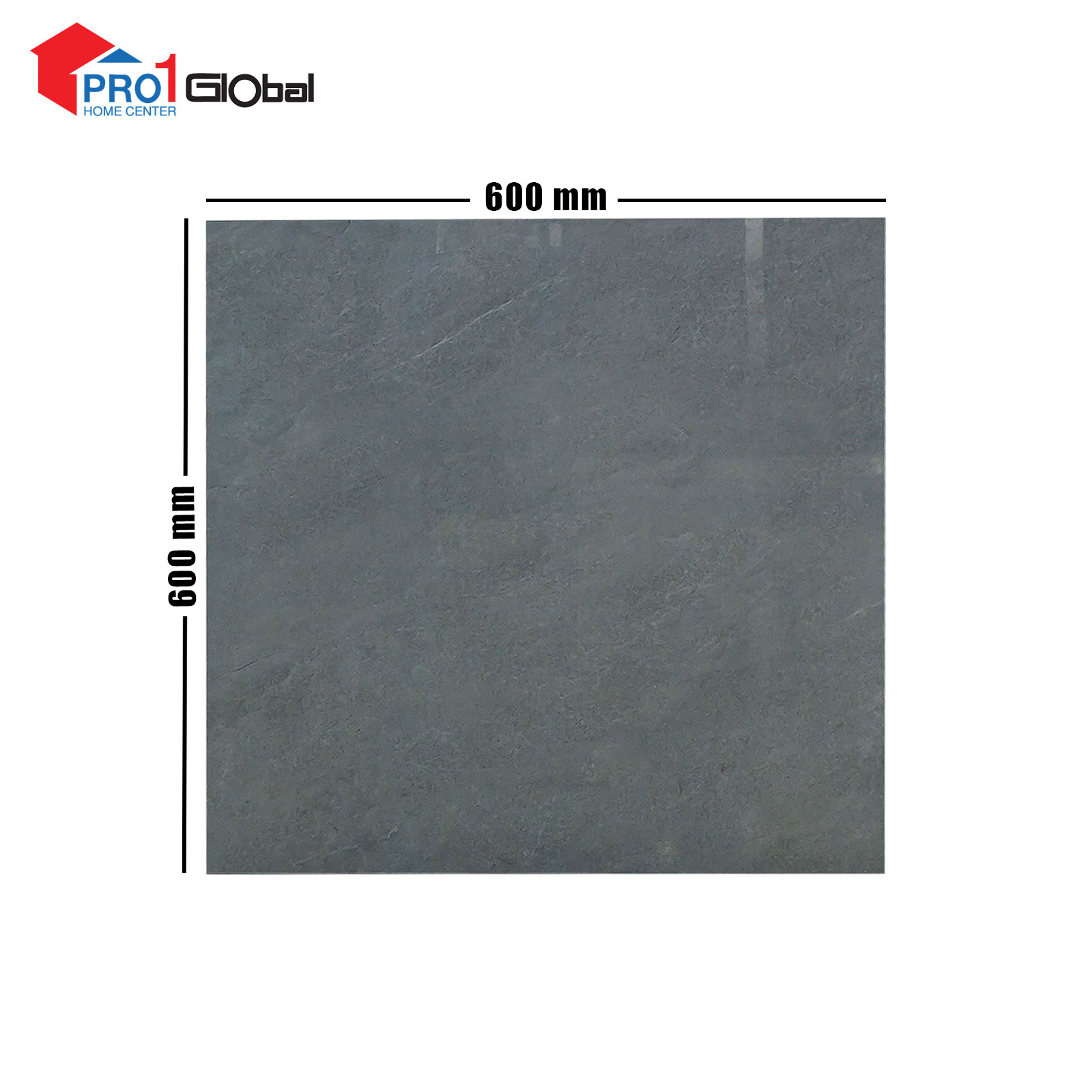 Lotus Ceramic LT-PR6633G (600x600)mm (POL)