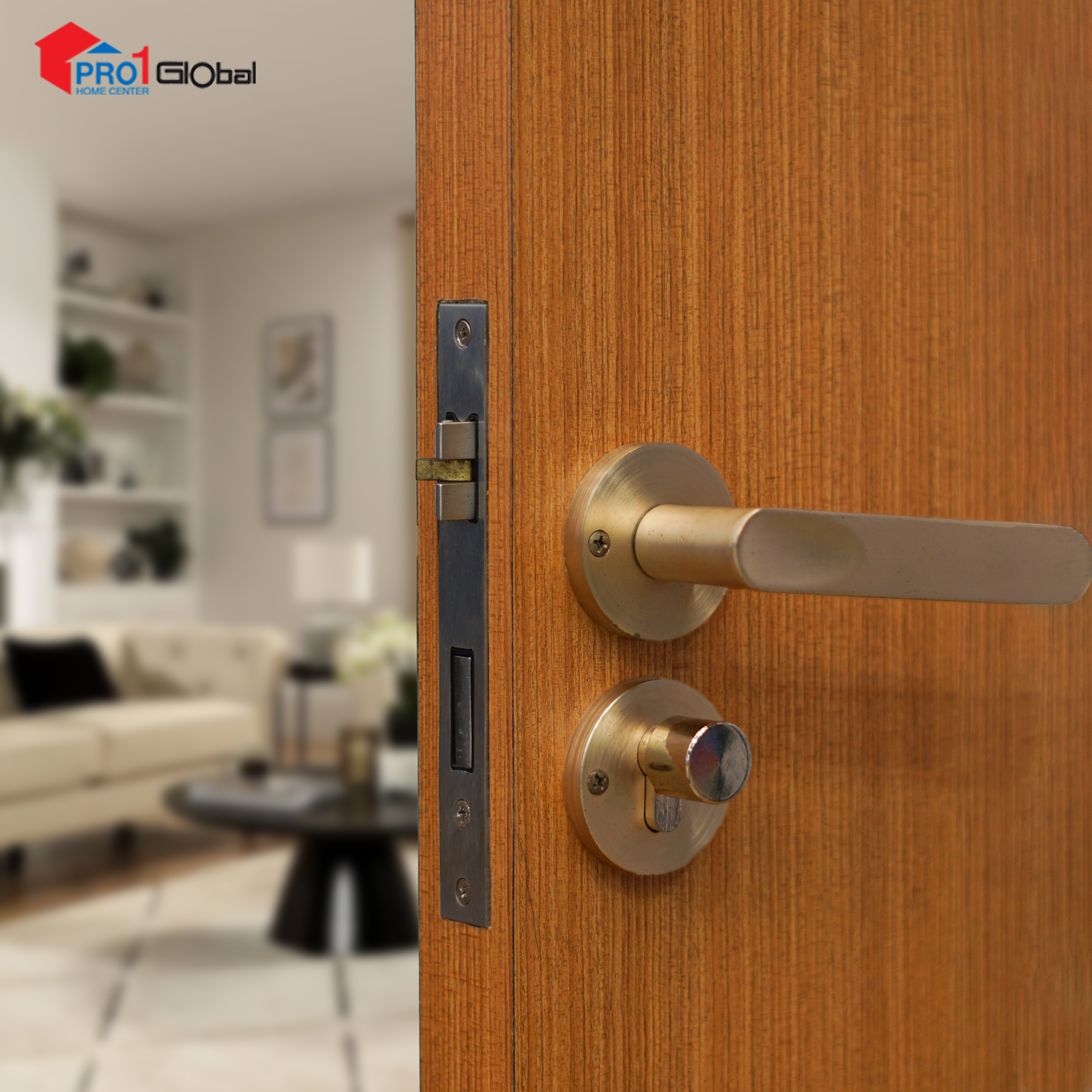 Tomos Handle Set PN005-GD