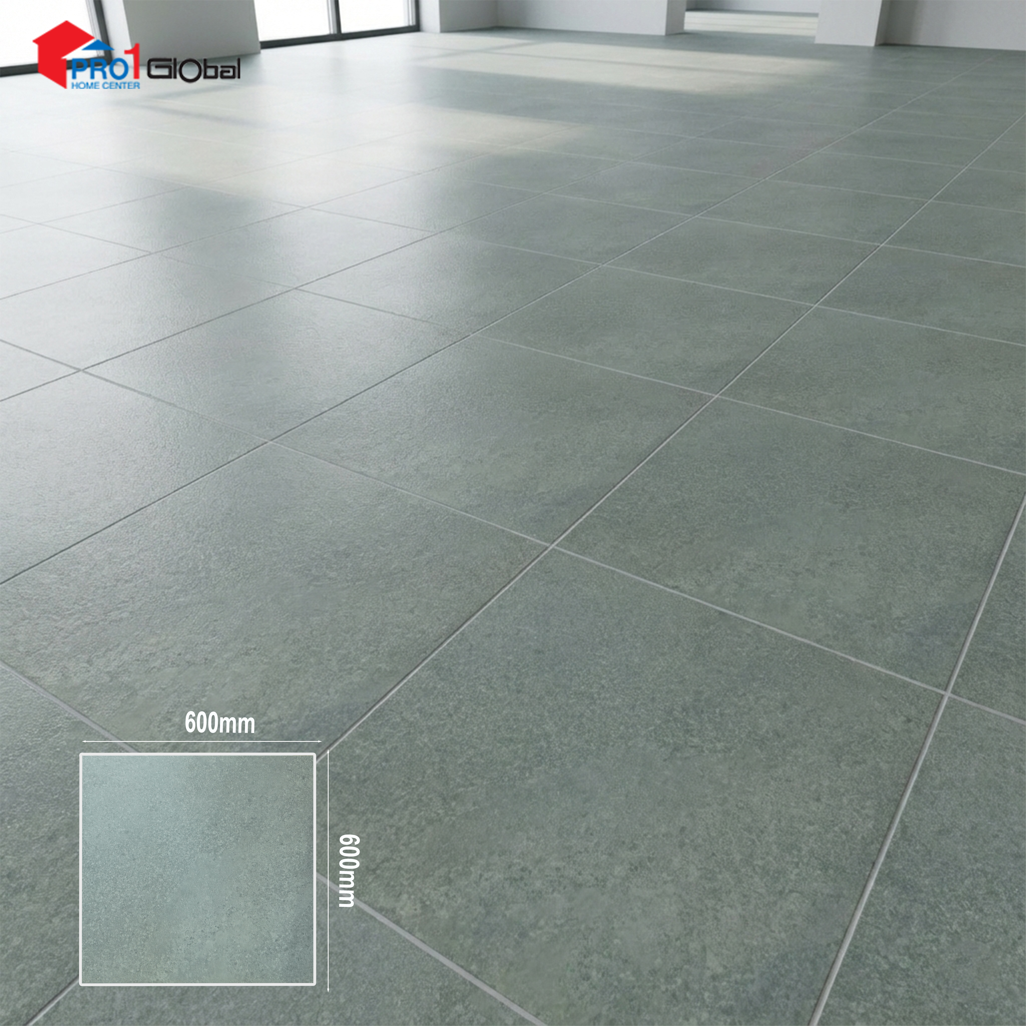 Lotus Ceramic LT-PR6641 (600x600)mm (Matt)