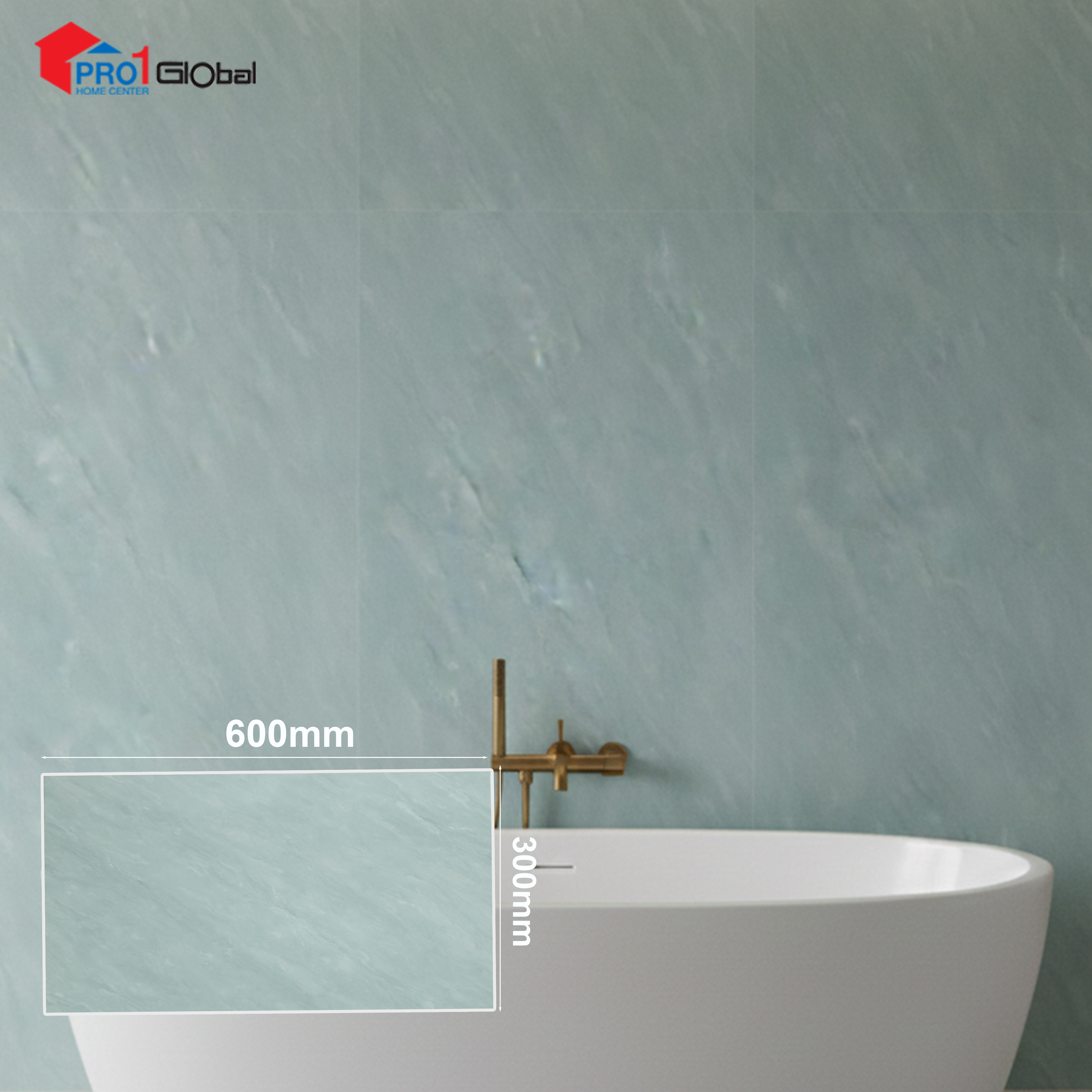 Pro Z1271 (300x600 ) mm