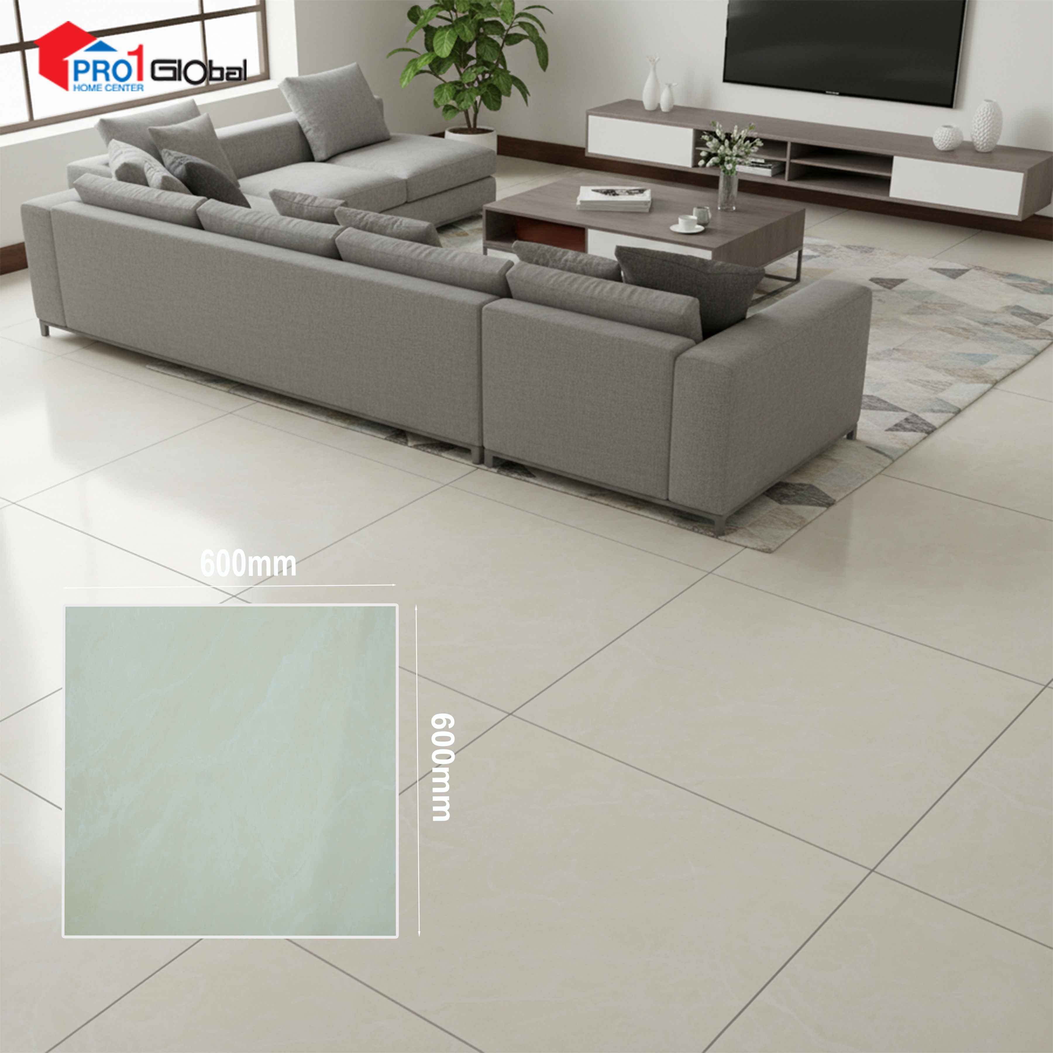 Pro TY-6029 (600x600 )mm (POL)
