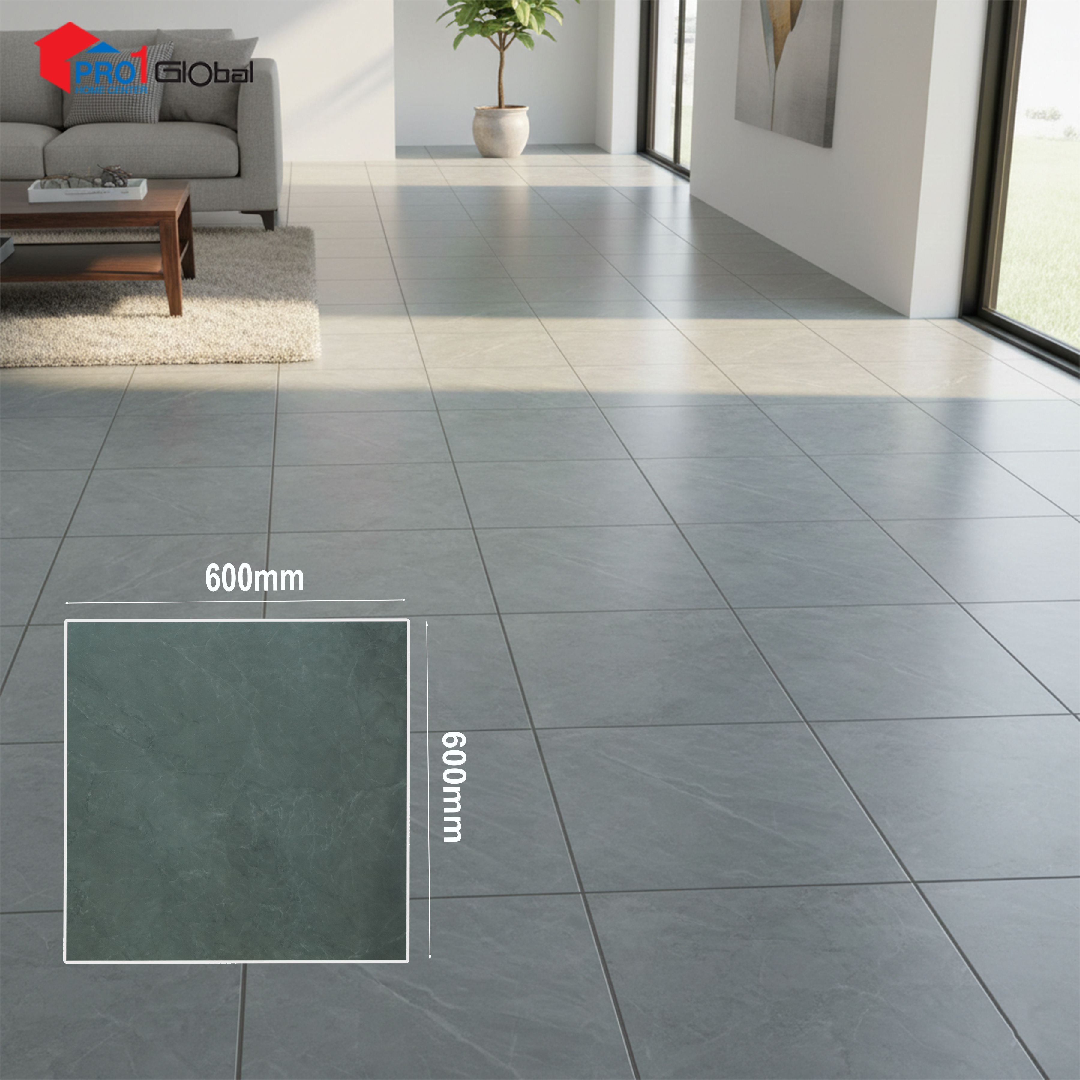 Pro TSJ-256668 (600x600 )mm (Matt)