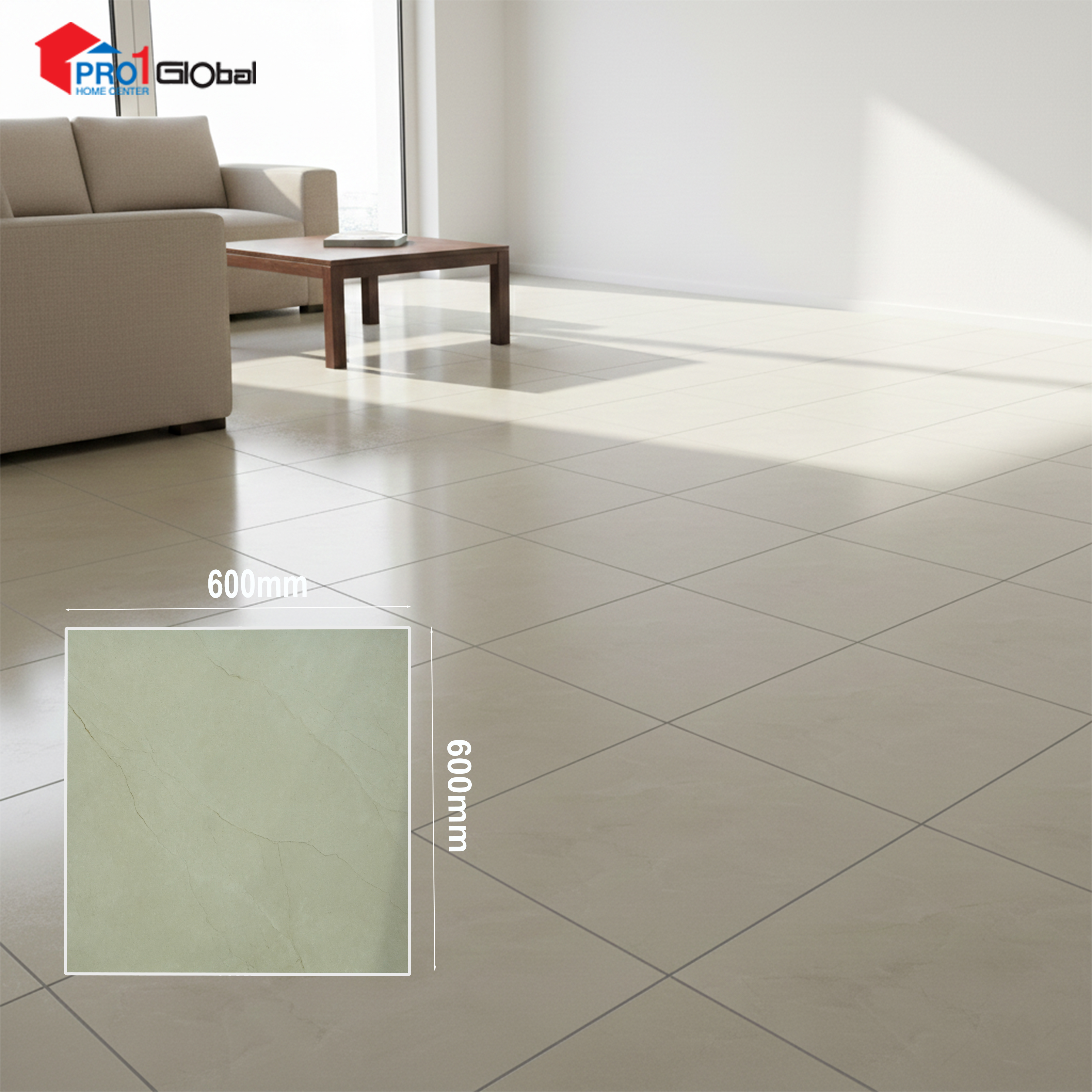 Pro TSJ-256667 (600x600 )mm (Matt)