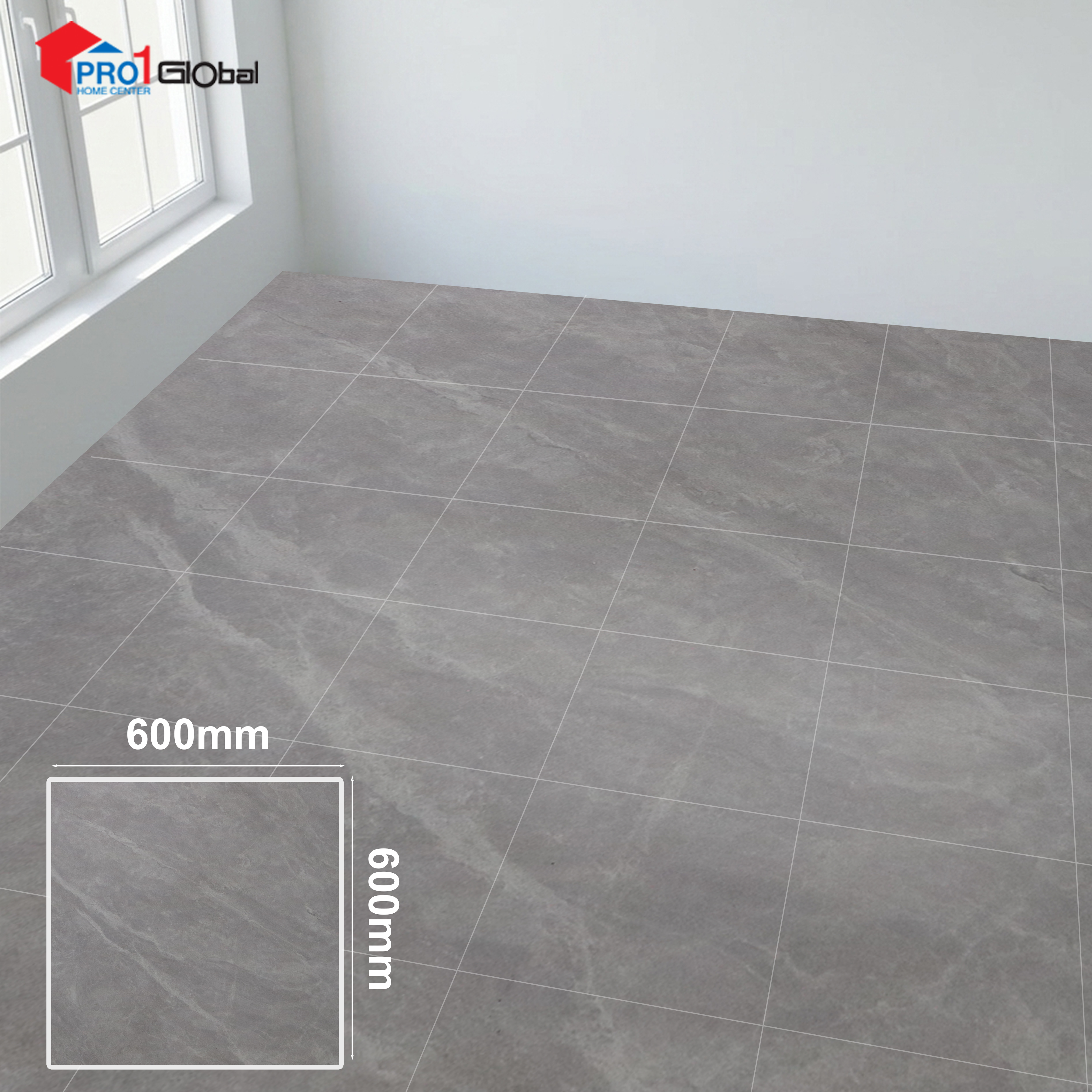 Pro 6804 (600x600 )mm (Matt)