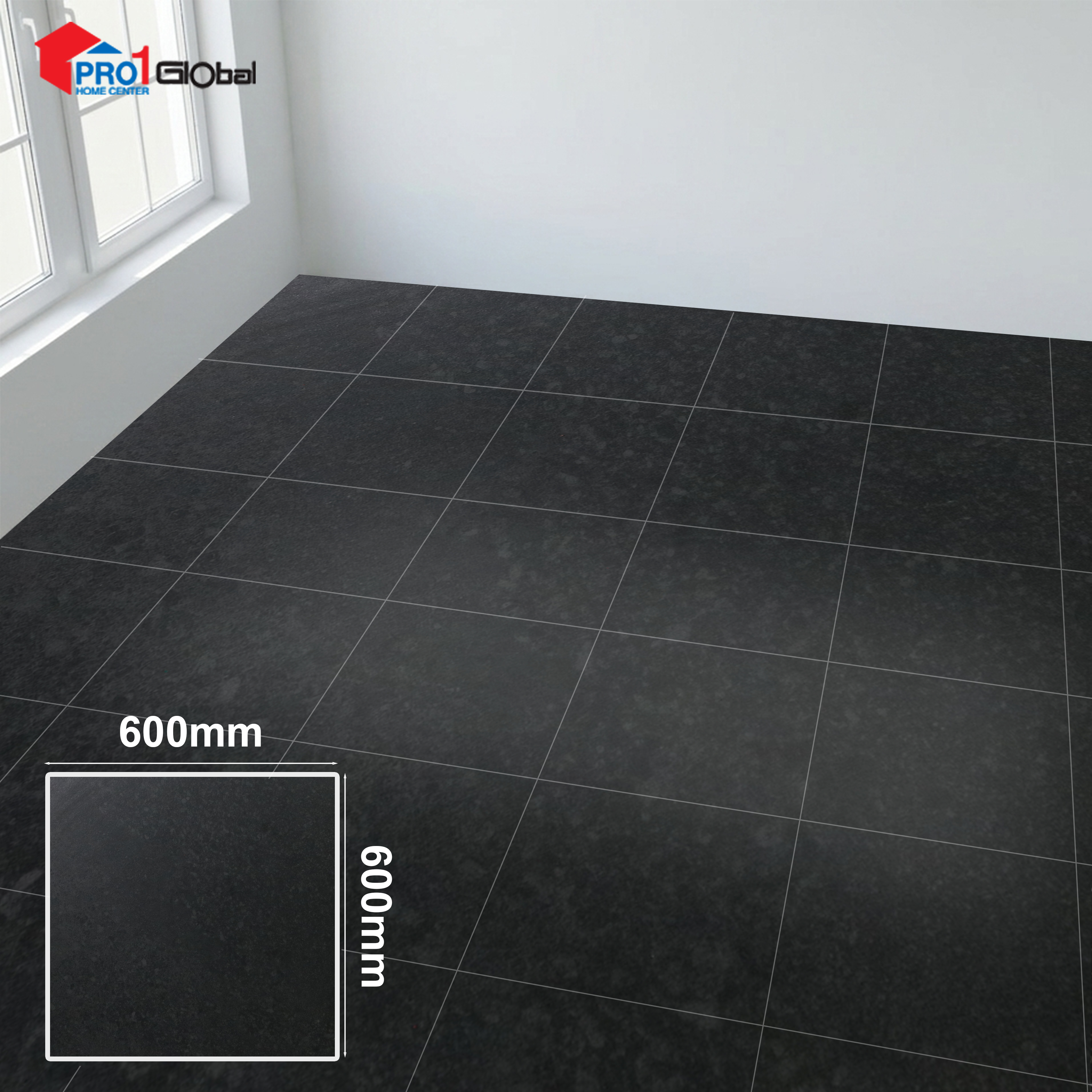 Lotus Ceramic LT-PR6640 (600x600)mm (Matt)