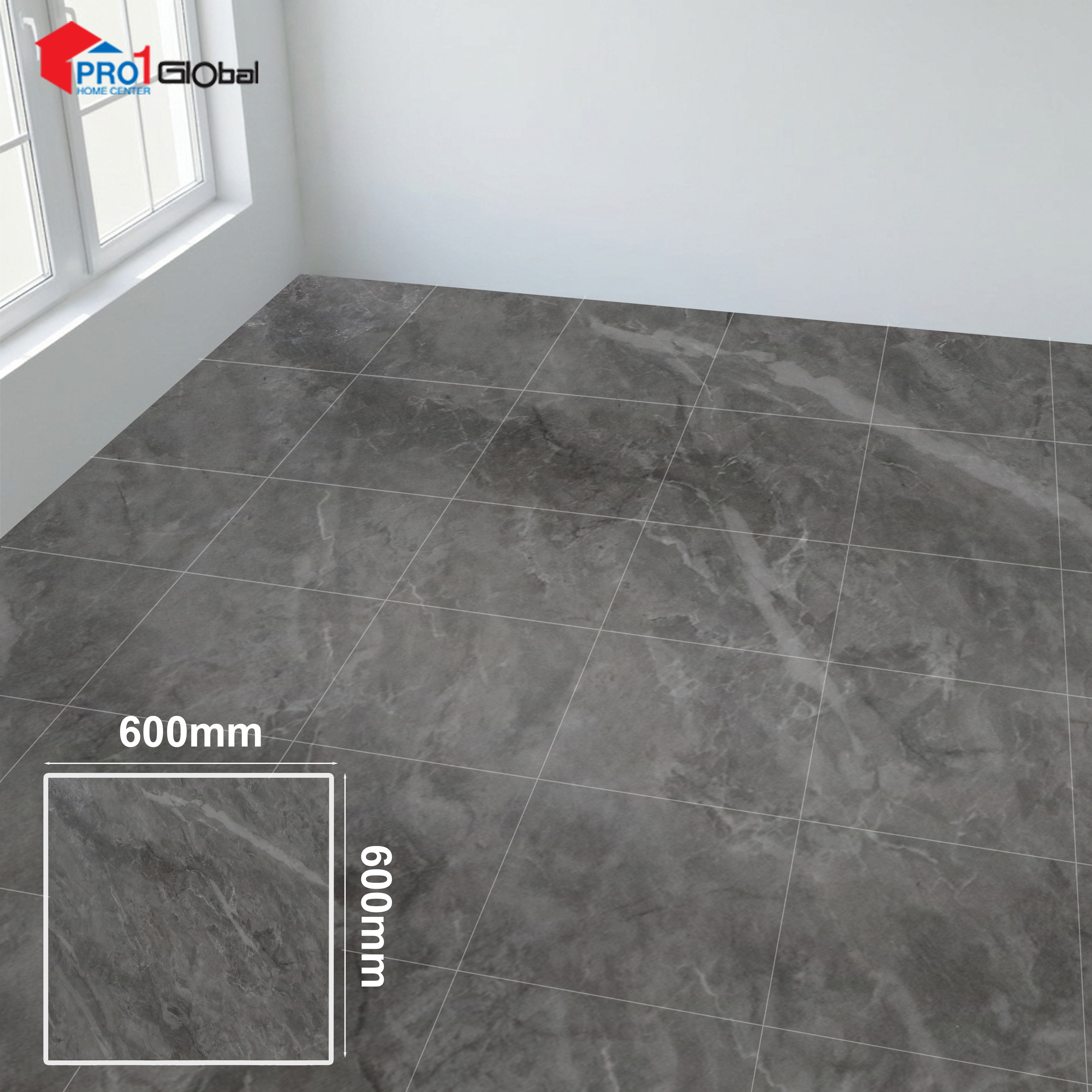 Pro 6677 (600x600 )mm (POL)