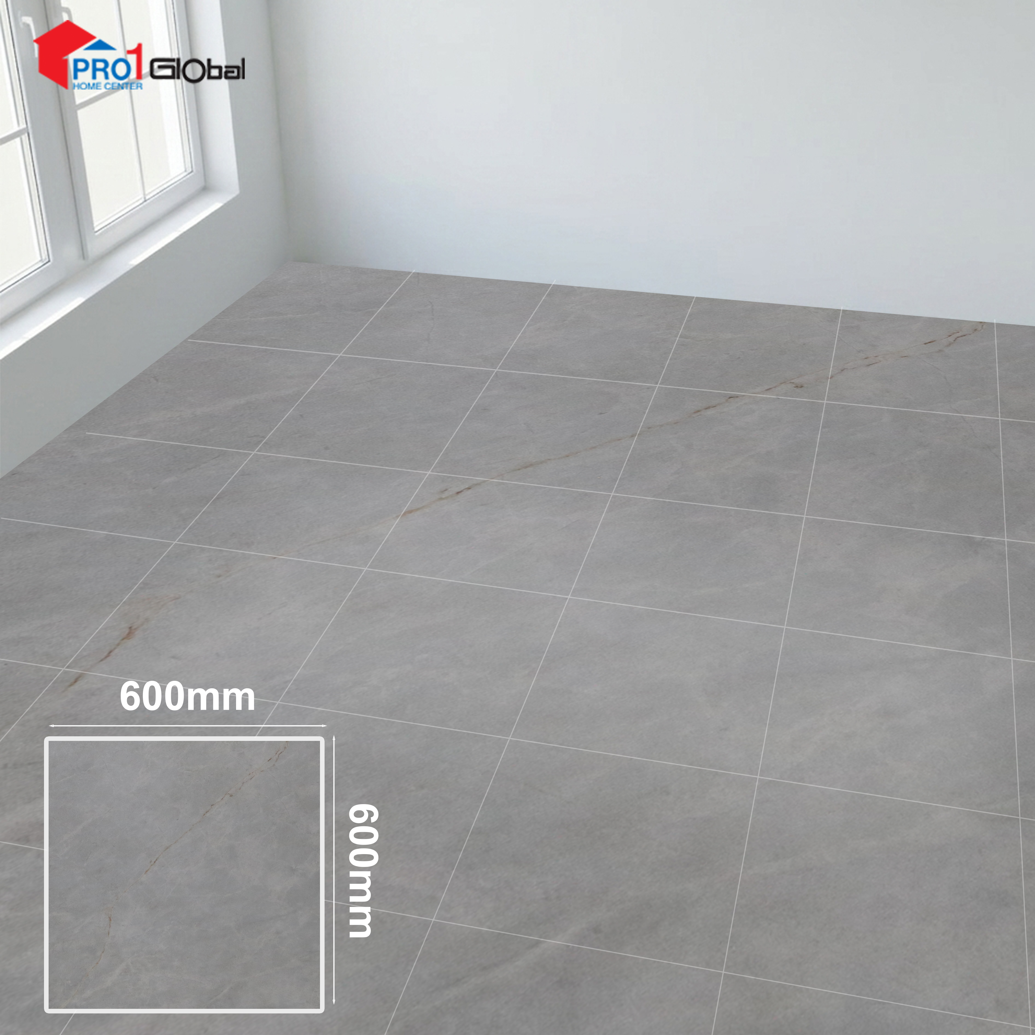 Pro TSJ-256662 (600x600 )mm (Matt)