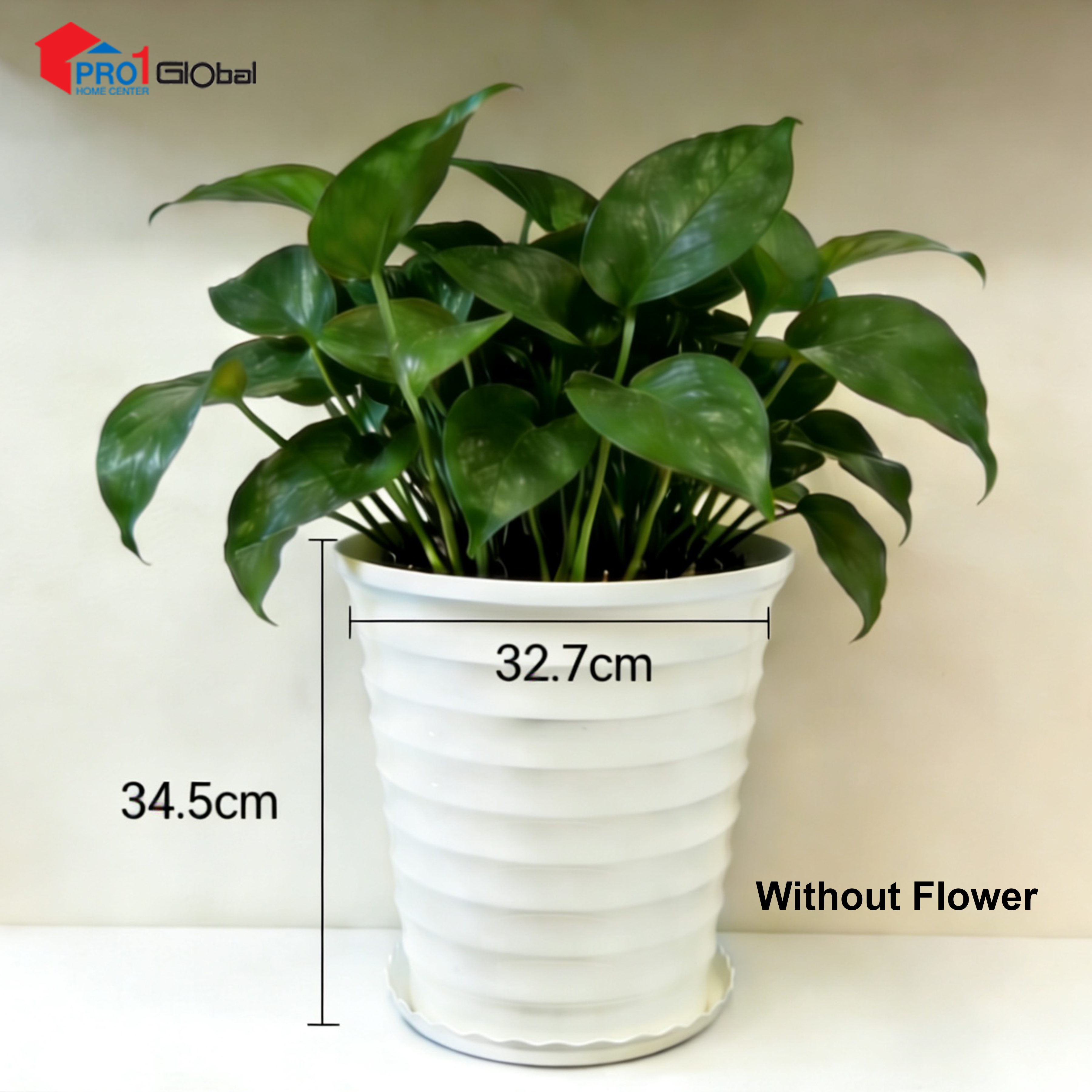 BLOOM Flower Pot Waat Auu DP97-06 (32.7x34.5)cm