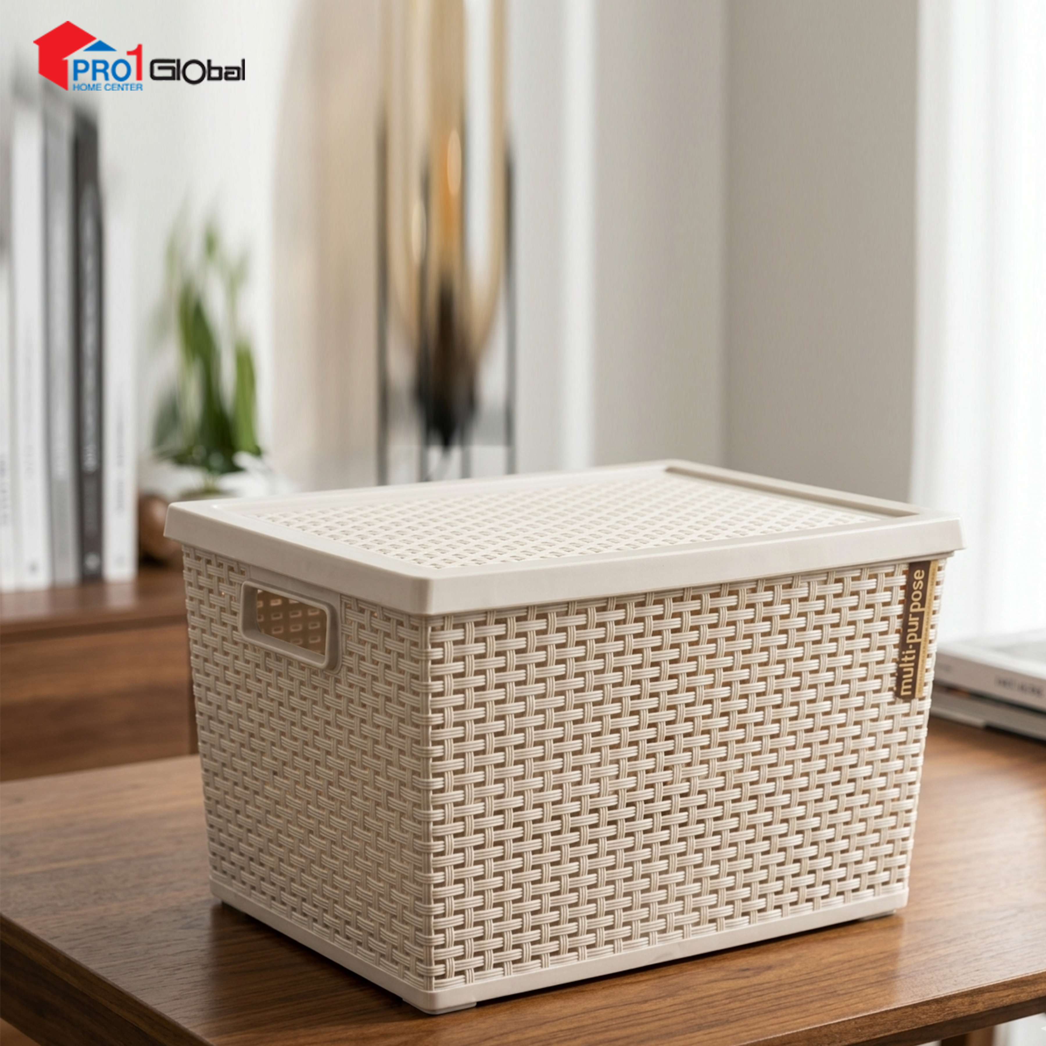 JCJ No-3126 Basket with Lid Beige
