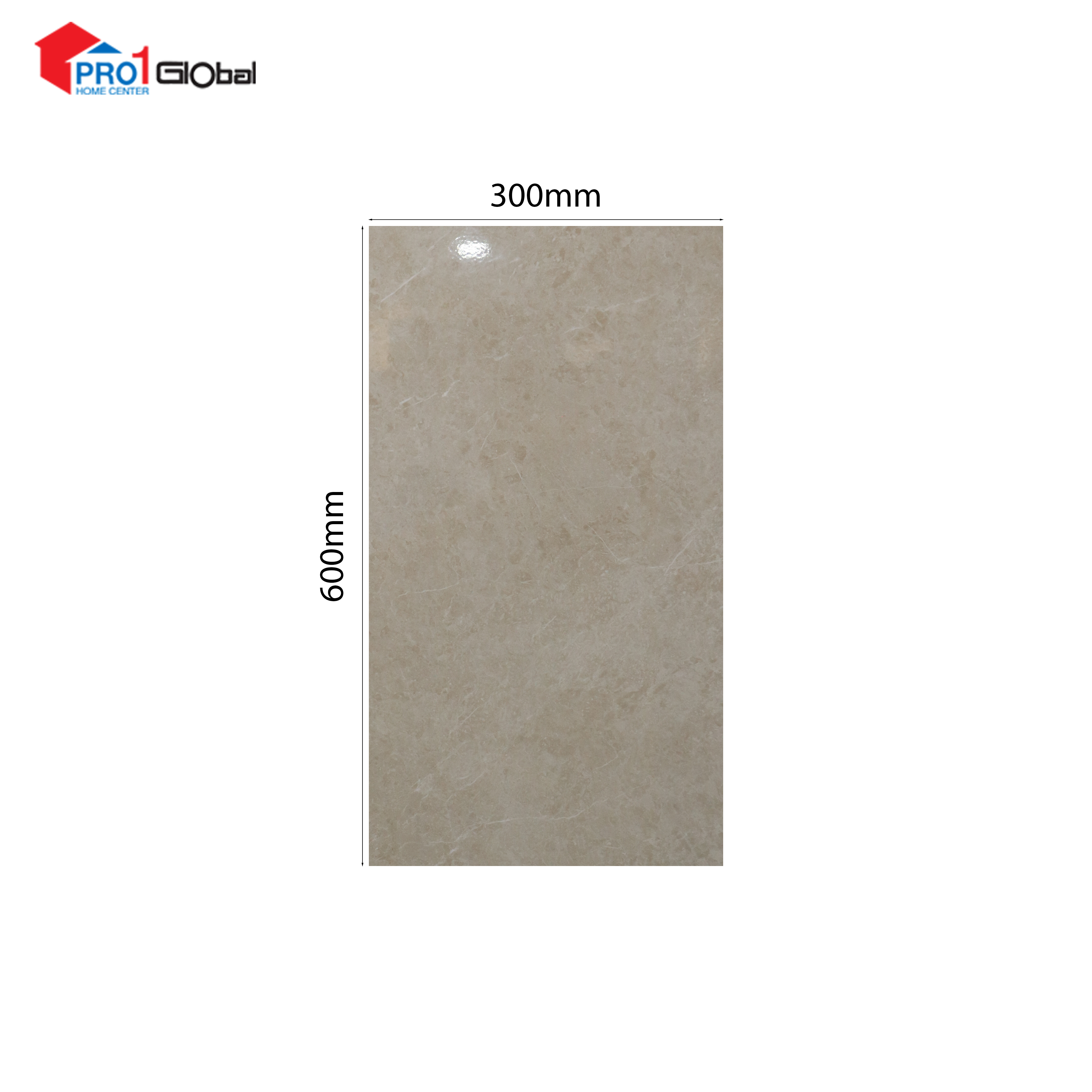 J&F Ceramic 519B (300x600)mm