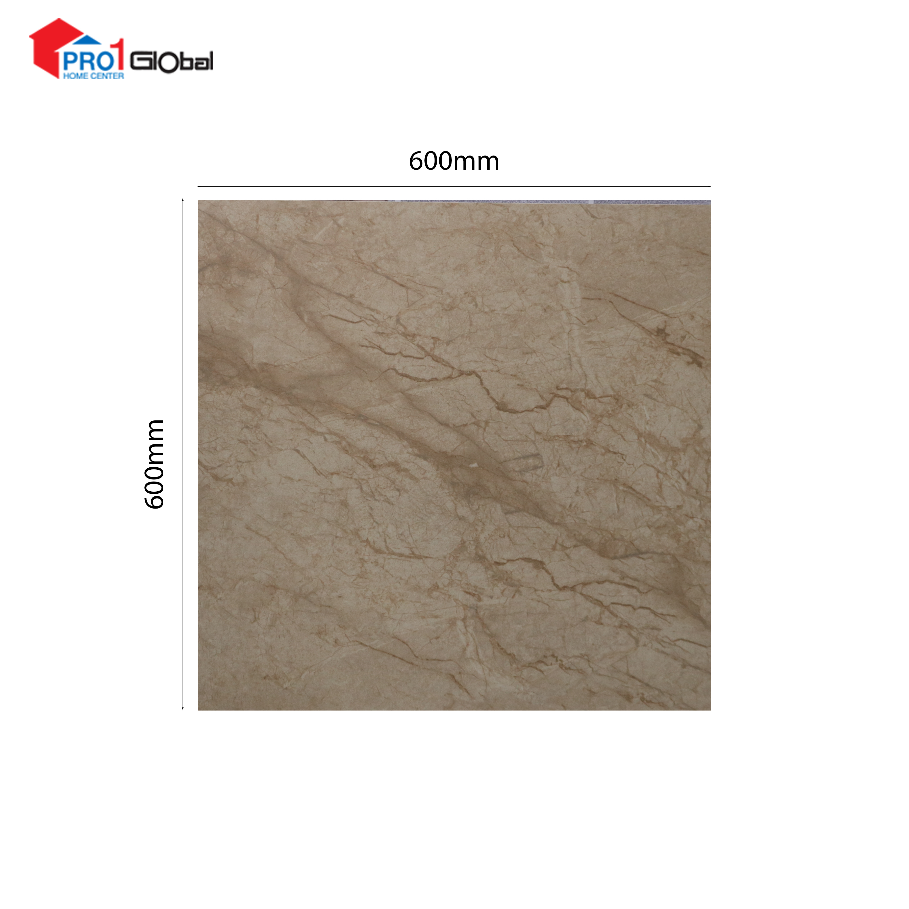HAPPY HOUSE  Glazed Porcelain LR6616 (600x600)mm