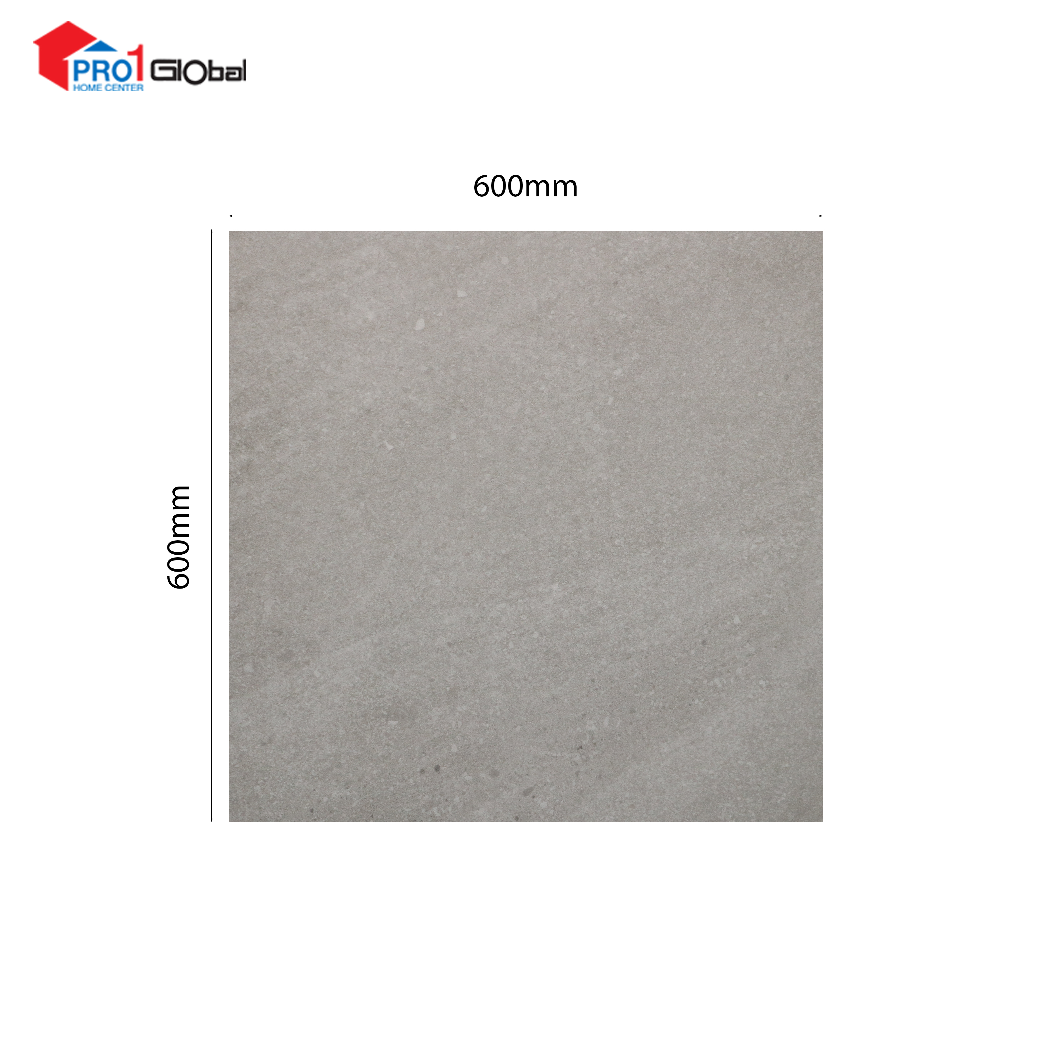 HAPPY HOUSE  Glazed Porcelain FR602CR /Fully Body (600x600)mm (Matt)