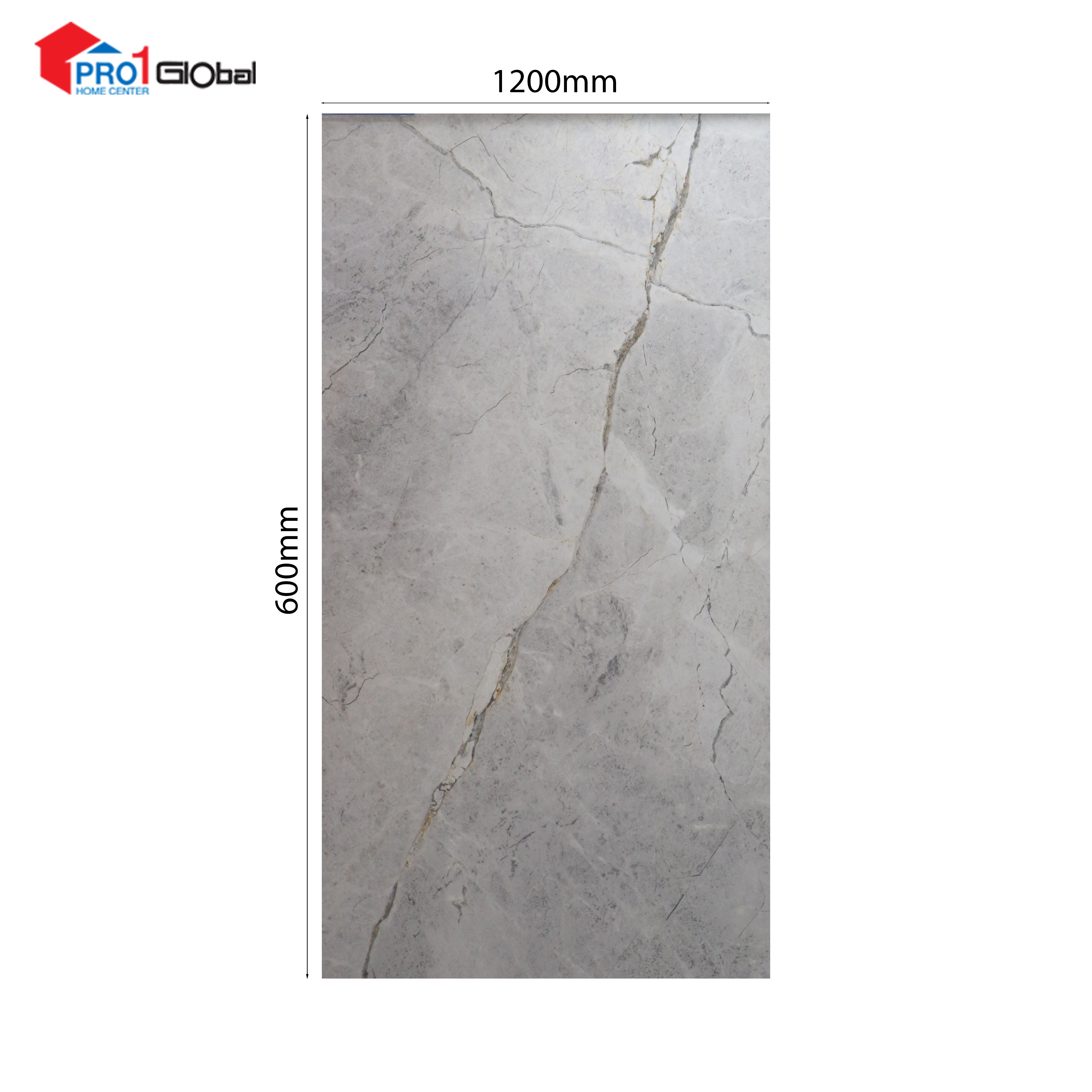 Pro OL62P931 (600x1200)mm