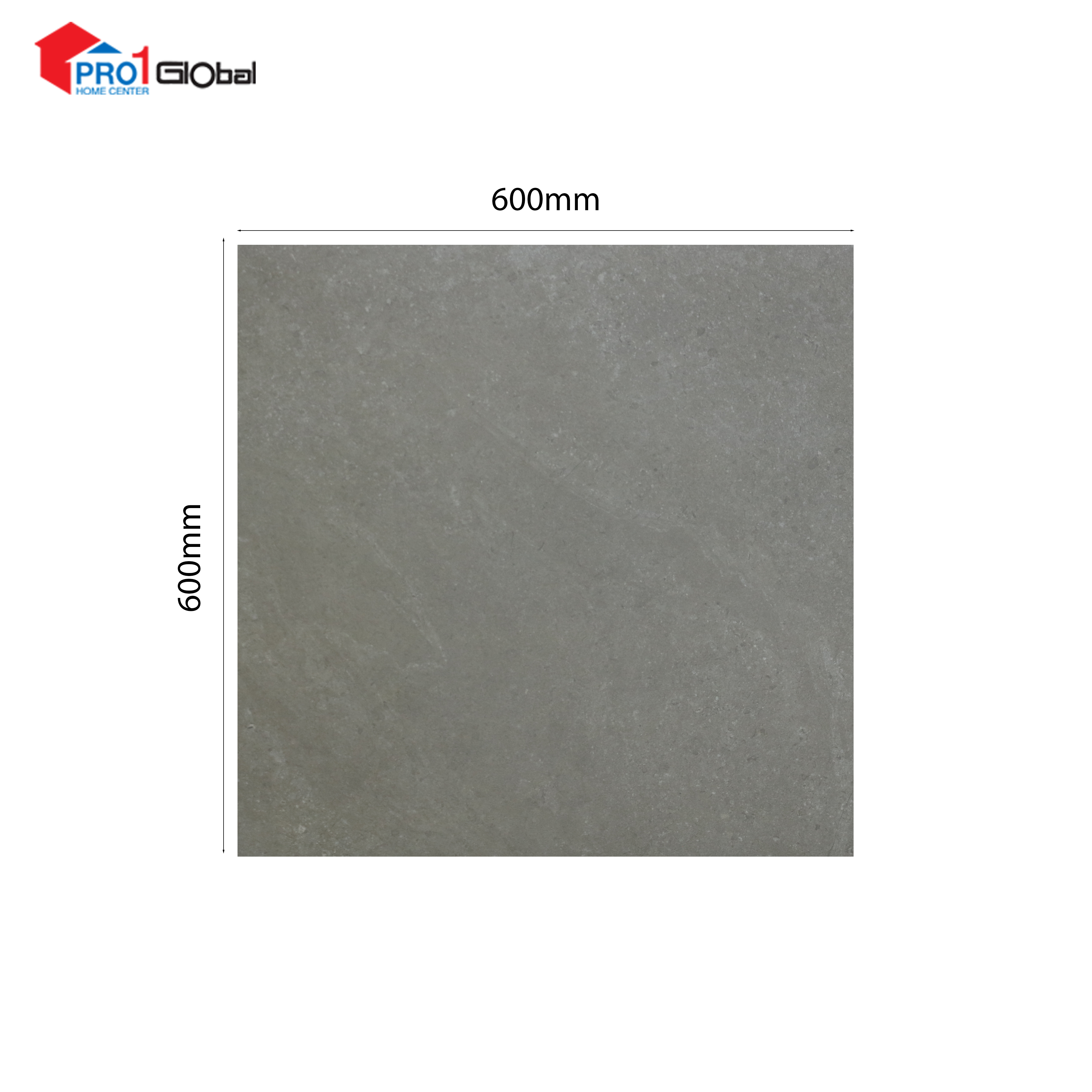 HAPPY HOUSE  Glazed Porcelain FR603BS  /Fully Body (600x600)mm (Matt)