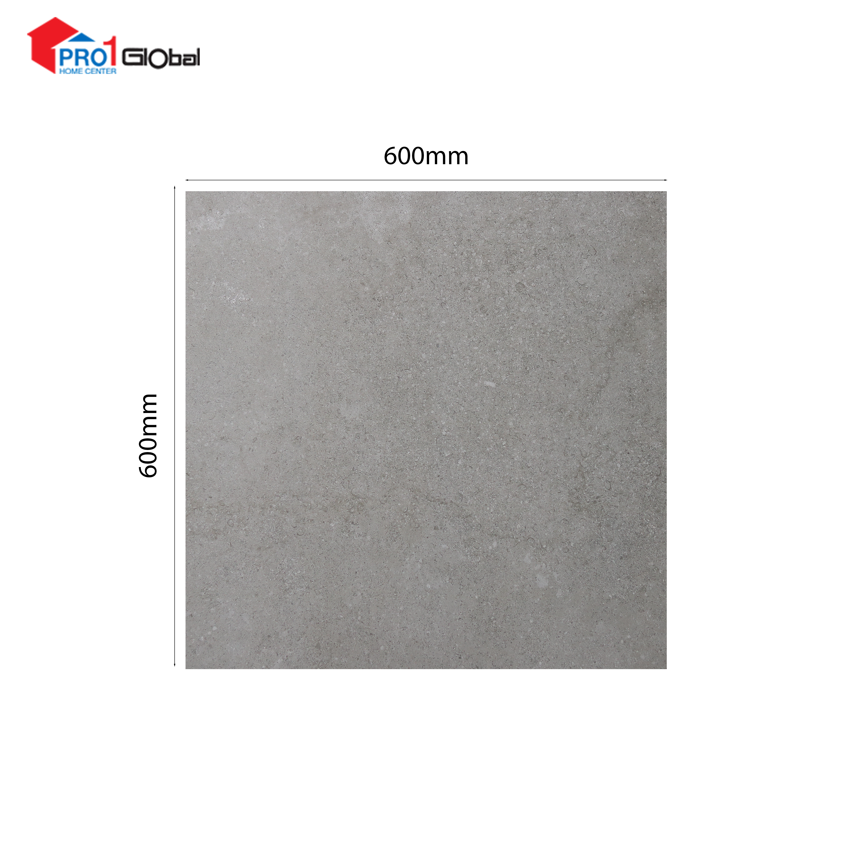 MARCOPOLO Glazed Porcelain ZF6260R10 (600X600)mm