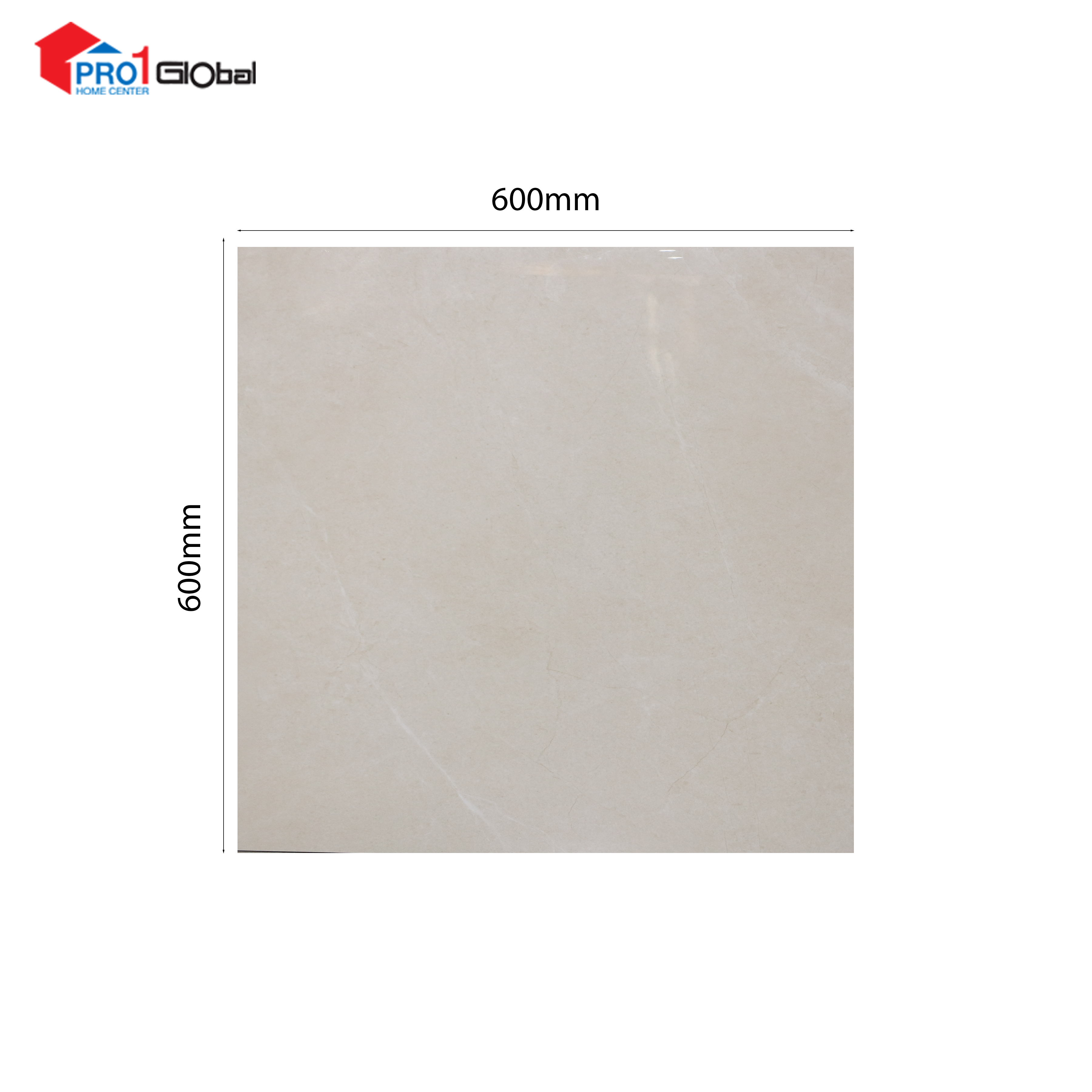LOTUS Ceramic LT-PR6679G (600x600)mm (POL)